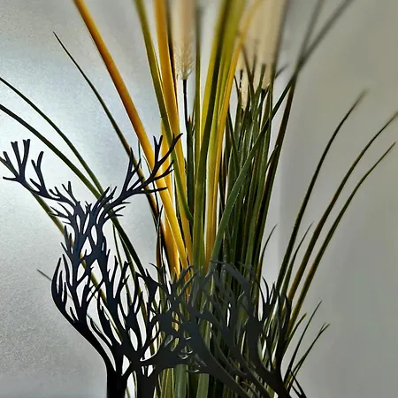 Havre Foret Bouillon