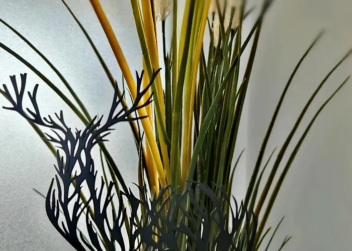 Havre Foret Bouillon